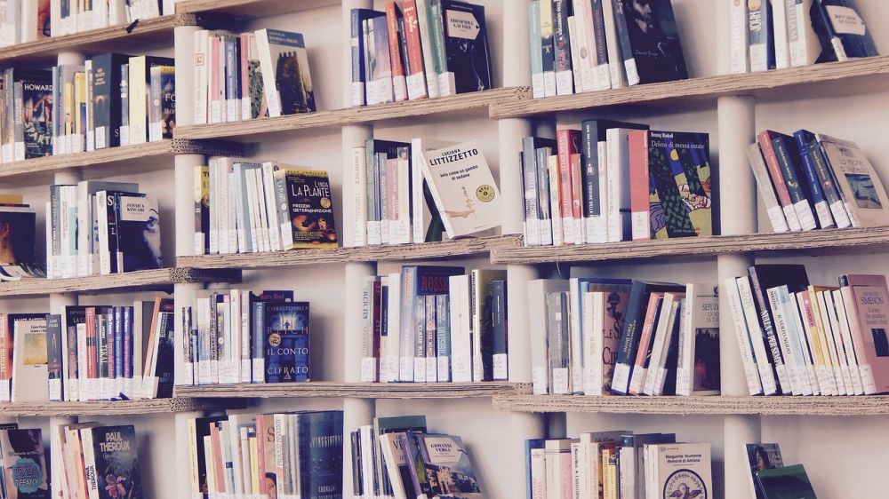 Årets Bedste Bøger 2021: En Ultimativ Guide til Læseelskere
